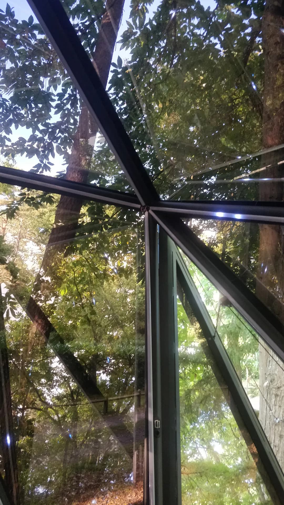 Vue intérieure — facettes de verre et reflets de la canopée